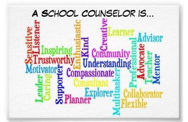 school counselor is